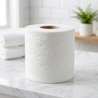 Papier toilette jetable en gros, imprimé sur mesure, 100% pâte de bois vierge, prix abordable, rouleau jumbo
