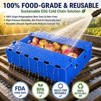 Boîte d'emballage pour pommes en PP ondulé imperméable, robuste, empilable, pour le transport de fruits frais en entrepôt frigorifique