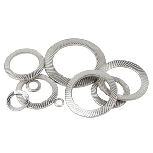 Premio 304 lucchetto in acciaio inossidabile rondella in carbonio Anti-allentamento doppia rondella seghettata a farfalla rondella antiscivolo - Product Image 4