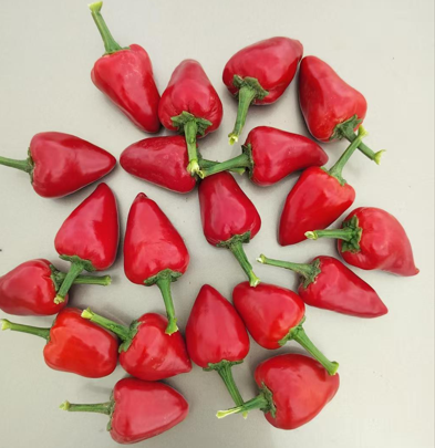 Pure and Natural Taste Whole Red