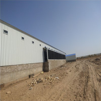 Granja de pollos estilo granja y casa de aves de corral Diseño de estructura de acero económico para pollos de engorde y capa