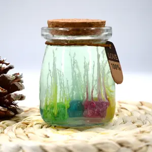 Amazing Chemical And Underwater Garden Fun Science Experiments Gifts For Boys Girls