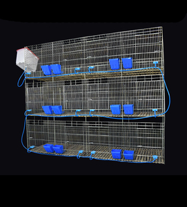 Il produttore fornisce gabbie per conigli, gabbie per l'allevamento di conigli, accessori per gabbie di allevamento di conigli e gabbie secondarie - Product Image 6