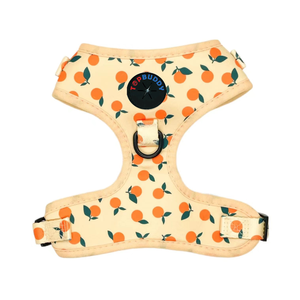 TOPBUDDY カスタム柄プリント ネオプレン製 犬用ハーネスセット - Product Image 4