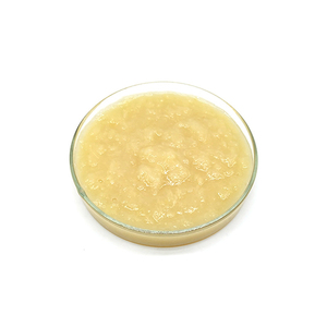 Dynamic Health 100% Concentré de jus de poire <span class=keywords><strong>non</strong></span> <span class=keywords><strong>sucré</strong></span> Aliments aromatisés Boisson énergisante sans additifs ni édulcorants - Product Image 2
