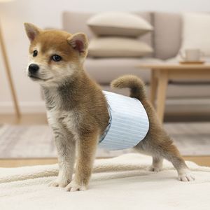 Ventes en gros de couches jetables absorbantes en charbon de bambou pour chiens mâles. Absorption rapide et sans fuite. Prend en charge les services ODM et OEM - Product Image 1