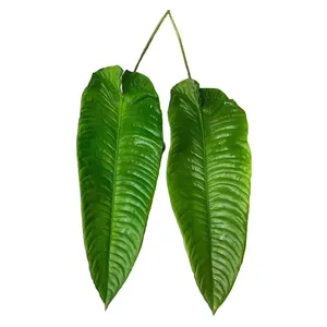 Imitasi sentuhan asli daun tropis daun hijau palem daun pisang buatan plastik daun pisang untuk dekorasi