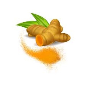 Extracto de raíz de cúrcuma orgánica de fábrica del Himalaya curcumina Soluble en agua 95% parte de hierbas arroz HPLC suministro de bolsas a granel botellas 1kg - Product Image 2