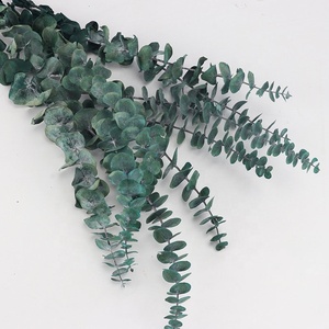 M034 boda flores secas bebé <span class=keywords><strong>azul</strong></span> verde rojo hojas de <span class=keywords><strong>eucalipto</strong></span> sucursales Real Natural secos conservas de <span class=keywords><strong>eucalipto</strong></span> - Product Image 6