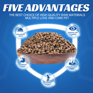 Alimento Seco para Gatos Adultos con Alto Contenido de Proteínas de Pollo y Pescado, Fabricante OEM/ODM - Product Image 2