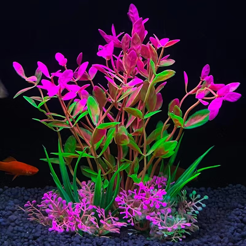 Aquarium Landschaftsgestaltung Ornamente Kunststoff Knstliche Seegras  Hochwertige Seegras-Dekorationen fr Aquarien Grenzberschreitende ...