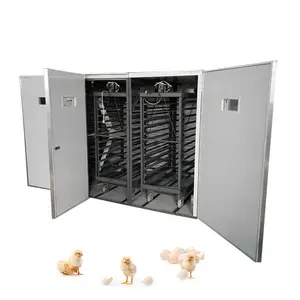 Incubadora para ovo de galinha, incubadora automática de ovos de cabra para venda