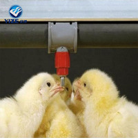 Système d'équipement avicole automatique pour l'élevage de poulets pondeurs en cages de type A pour l'utilisation en ferme avicole