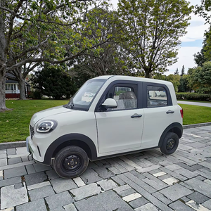 Prix d'usine direct EEC SUV électrique 4 portes chinois aux nouvelles énergies de haute qualité Meilleur choix pour une mobilité durable - Product Image 6