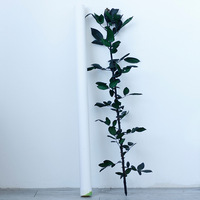 Vente en gros d'usine : Roses éternelles à tige longue, roses véritables à tige longue avec feuilles, roses éternelles à tige longue pour arrangements floraux