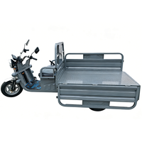 Tricycle Électrique 60V 1000W Personnalisé à 3 Roues pour Adultes, Type Camionnette Benne Basculante, avec Plateforme de Chargement pour Camping et Transport de Marchandises
