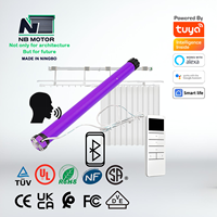 NB MOTOR REROAD 25mm 35mm 45mm Tuya WiFi Rf Motor Tubular Personalizable Motor Tubular para cortina de persiana enrollable motorizada