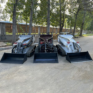 चीनी कारखाने गर्म बिक्री गैसोलीन इंजन स्वचालित लेवलिंग मिनी स्किड स्टीड लोडर - Product Image 3