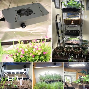 Luz LED de espectro completo para cultivo, AC220V 100W LM281B con enchufe europeo para iluminación de cultivo hidropónico en invernadero - Product Image 5