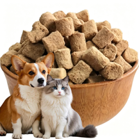 Friandises de viande crue lyophilisée naturelle pour chat d'intérieur – Alimentation quotidienne et complémentaire pour animaux de compagnie