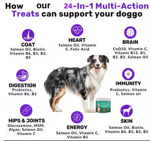 Integratori Multivitaminici e Probiotici <span class=keywords><strong>per</strong></span> <span class=keywords><strong>Cani</strong></span>, Compresse Masticabili <span class=keywords><strong>per</strong></span> Digestione, Articolazioni e Salute Intestinale, Supplementi Vitaminici <span class=keywords><strong>per</strong></span> Animali Domestici - Product Image 5