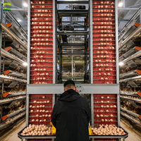 Projet clé en main pour ferme avicole de 100 000 poules pondeuses, système de cages automatiques pour la production commerciale d'œufs à grande échelle