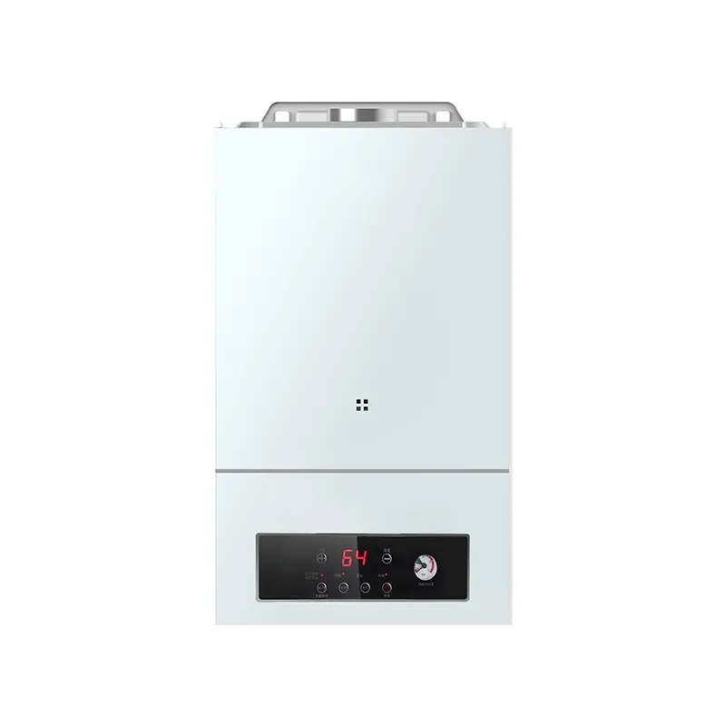 110v220vステンレス製インスタントスチール壁暖房ラジエーターシャワー2つの多機能ガスボイラー給湯器家庭用