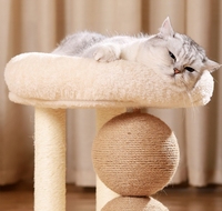Tour et griffoir pour chat de luxe moderne Fournitures en bois et sisal avec jouets et accessoires pour arbres grimpants