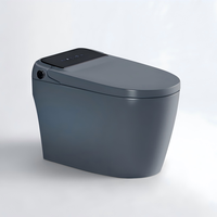 WC intelligent écologique à économie d'eau, double chasse, bidet électrique intelligent pour la rénovation durable de la maison