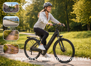 Bicicleta Eléctrica Urbana de 36V 250W con Cuadro Bajo, Batería de 13Ah, Autonomía de 65KM, Freno de Disco, 7 Velocidades, 27.5 Pulgadas, en Stock en la UE - Product Image 5