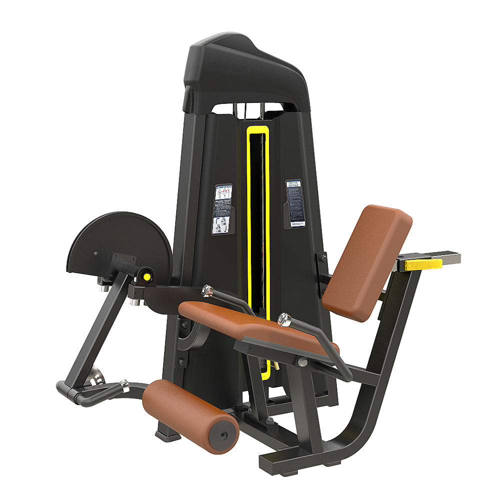 Extensión de la pierna