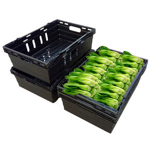 Cestas de Almacenamiento de Plástico para Supermercados al por Mayor, Cajas de Plástico Resistentes para Apilar, Cajas de Plástico para Frutas y Verduras - Product Image 3