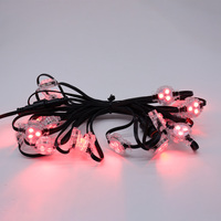 Lampes LED RGB étanches pour extérieur, adressables et programmables, pour l'éclairage paysager et architectural