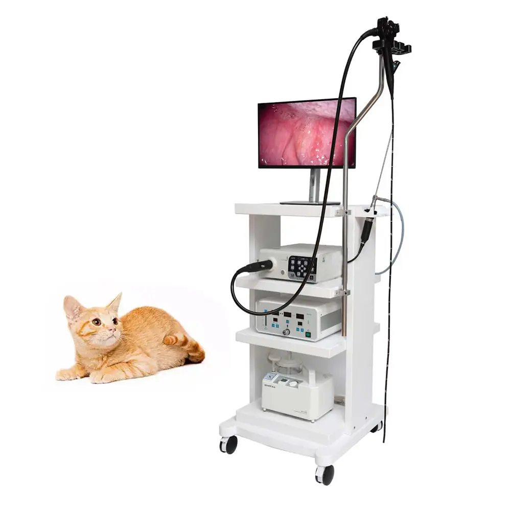 Penjualan Terbaik hewan kecil hewan fleksibel dan kaku video bronchoskop endoendoskopi diagnostik