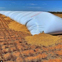 Hochbelastbare Landwirtschaftliche Polyethylen Schwarz-Weiße Folie Silage-Beutel ISO 9001 Zertifiziert Extrem Stark Anti-Tropf Erdbeer- und Gemüsebeutel