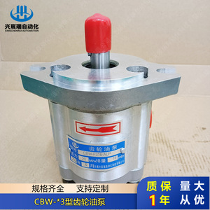 Bomba de aceite para engranajes Cbw F316 Alp, instalación de brida de 1 etapa, eje vertical, accionamiento eléctrico - Product Image 2