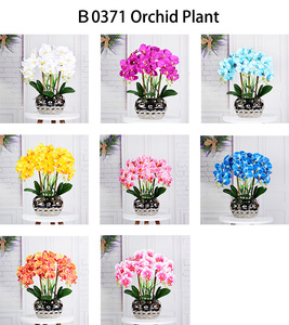 Orchidées artificielles papillon en latex, vente en gros, décoration de maison - Product Image 2