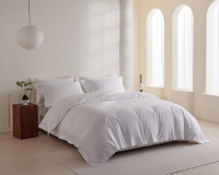 Parure de Lit Hôtel Cinq Étoiles Premium 4 Pièces 100% Coton 200TC Anti-Boulochage Respirante Toute Saison, Huitante Fils, pour Dortoirs CHENHONG