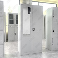 Armoire de rangement métallique moderne à 2 portes avec miroir pour bureau, atelier, chambre à coucher – Meuble de rangement en acier pour vêtements