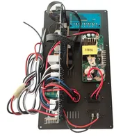 Carte d'amplification numérique 12V 110V 220V 2.0 Stéréo 2*150W 300W pour haut-parleur de 8 à 18 pouces avec entrée microphone et guitare