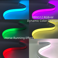 Bande LED néon RGB DMX 50*30mm 24V IP67 étanche pour façade de bâtiment, éclairage de scène numérique adressable, RGBW DMX LED