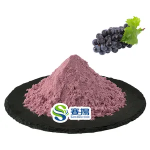 Free Sample Natural Spray Dried Grape Flavor Fruit Juice Powder Grape Concentrate Powder