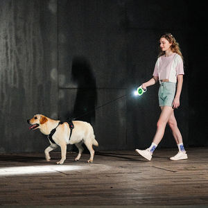 Correa Retráctil Automática para Perros con Logotipo Personalizado al por Mayor, Correa de Poliéster Ajustable de 2.5 Metros de Largo, Correa Única con Luz para Pasear Mascotas - Product Image 4