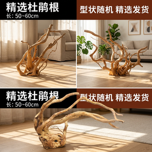 Decoração Natural de Raízes de Rododendro para Aquário, Ornamento para Paisagismo de Tanques de Peixes - Product Image 5