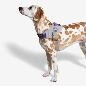 快適な新デザイン犬用ハーネス犬用ハーネス簡単クリップハーネス大型犬用 - Product Image 2