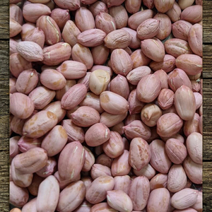 Arachides brutes de haute qualité de marque premium, vente en gros en vrac, Inde, petite taille, durée de conservation de 6 à 12 mois, pour grignoter et cuisiner - Product Image 2