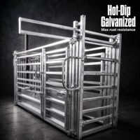 Nouvelle corral de bétail robuste galvanisée 2026, avec porte de tête réglable et corral de compression pour la manutention du bétail, l'accès vétérinaire et le tri