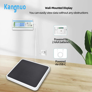 Độ Chính Xác Cao <span class=keywords><strong>300Kg</strong></span> Thép Không Gỉ Nặng Hàng Hóa Cơ Khí Chỉ Số Tầng Bưu Chính Quy Mô Kỹ Thuật Số Có Trọng Lượng Quy Mô Nền Tảng - Product Image 4