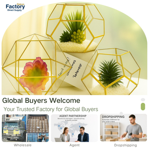 Contenitore <span class=keywords><strong>per</strong></span> <span class=keywords><strong>piante</strong></span> <span class=keywords><strong>grasse</strong></span> in vetro geometrico terrario in oro moderno <span class=keywords><strong>per</strong></span> gioielli da sposa portacandele Decorative in cristallo di vetro - Product Image 4