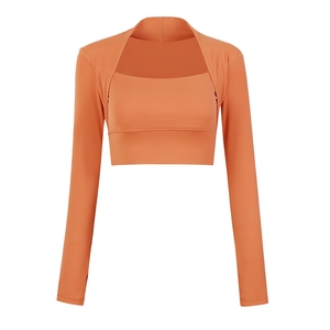 Ropa de Yoga con Relleno en el Pecho, Top Corto de Secado Rápido para Correr, Top de Entrenamiento Ajustado, Sexy y Moldeador, Manga Larga Deportiva - Product Image 5